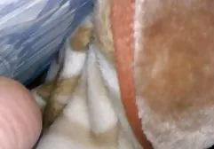 تنها لینک فیلم سکس درتلگرام